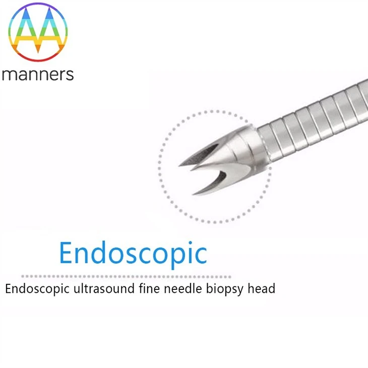 Endoscopic Ultrasonography Guided Fine Biopsy Needle
